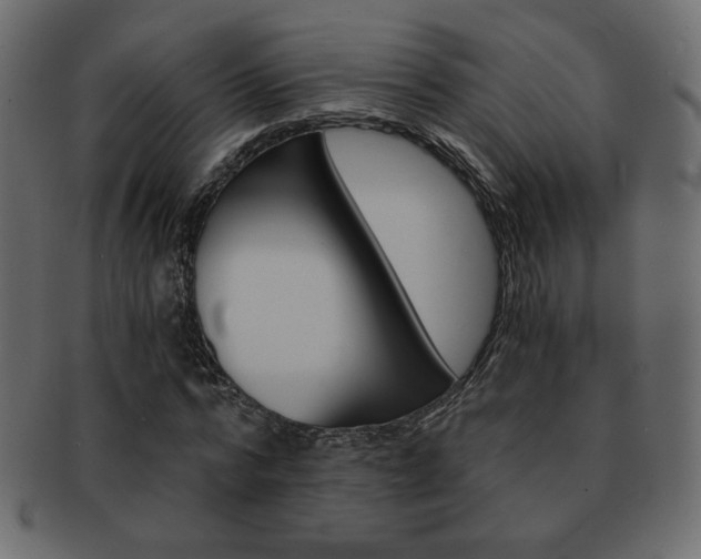X0000093150776200709261015