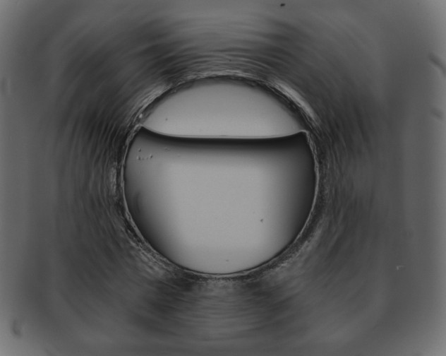 X0000093150777200709261015