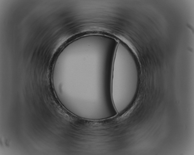 X0000093150783200709261015