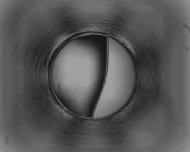X0000093150784200709261015