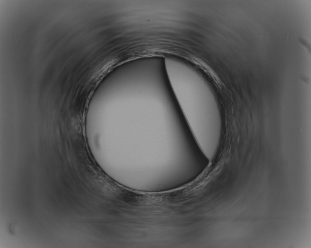X0000093150785200709261015