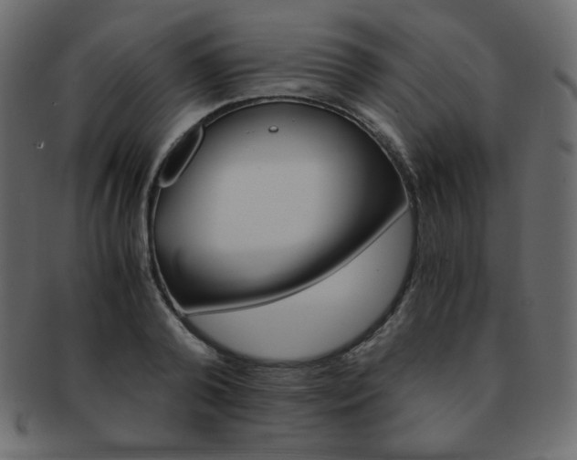 X0000093150792200709261015