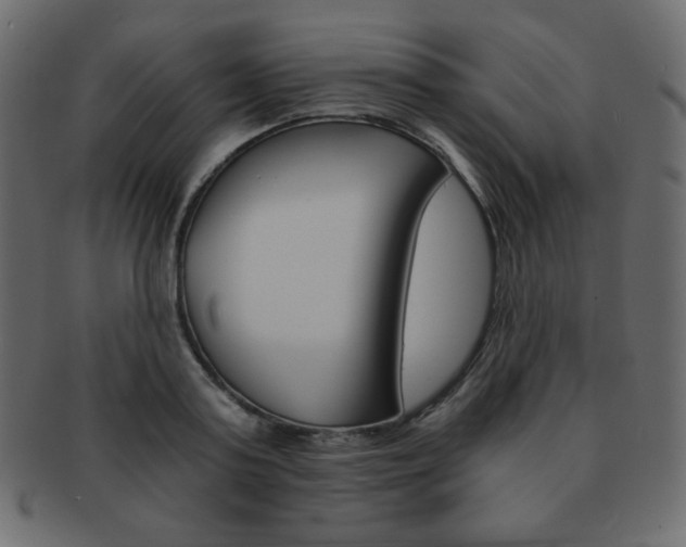 X0000093150795200709261015