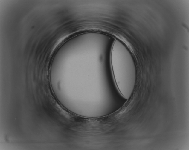 X0000093150799200709261015