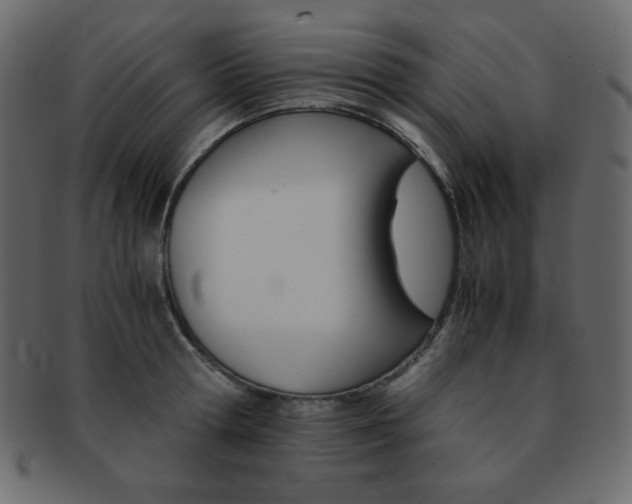 X0000093150802200709261015
