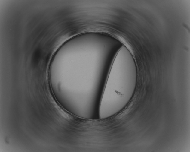 X0000093150803200709261015