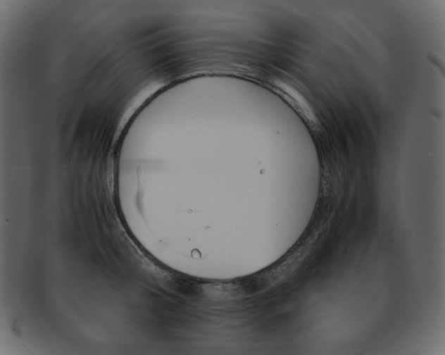 X0000093150804200709261015