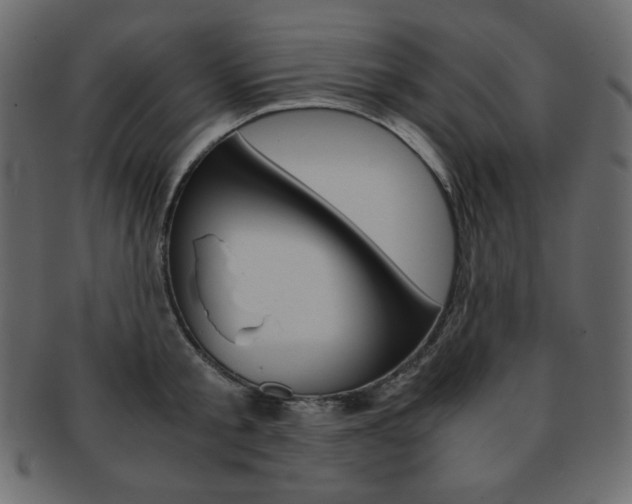 X0000093150805200709261015