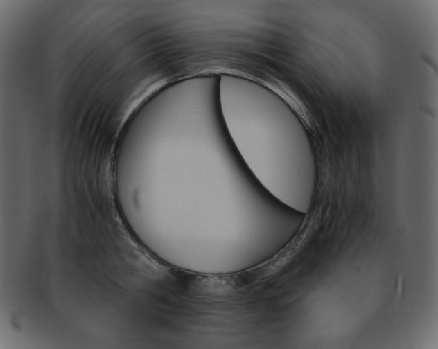 X0000093150806200709261015