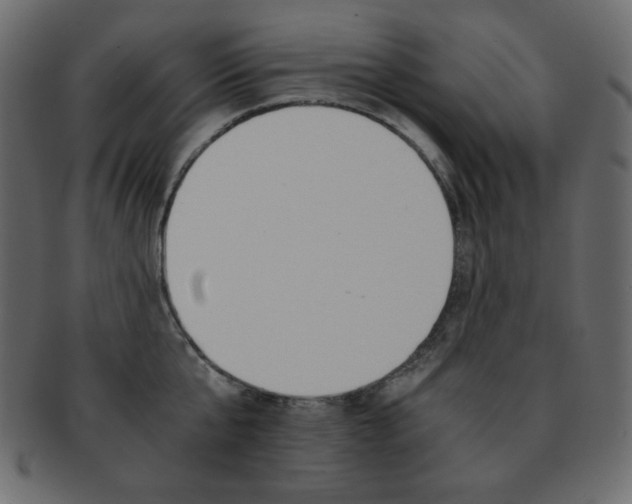 X0000093150807200709261015