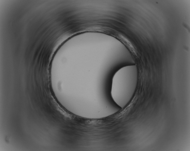 X0000093150808200709261015