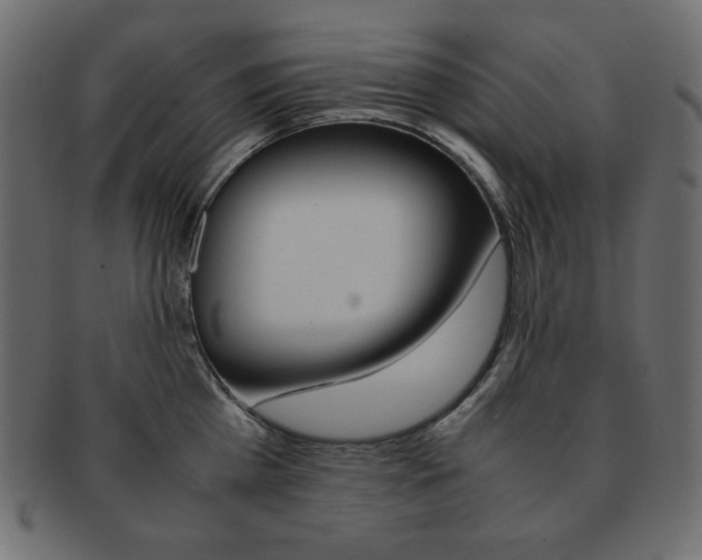 X0000093150809200709261015