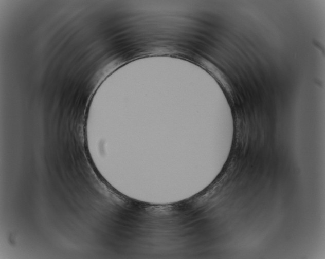 X0000093150810200709261015