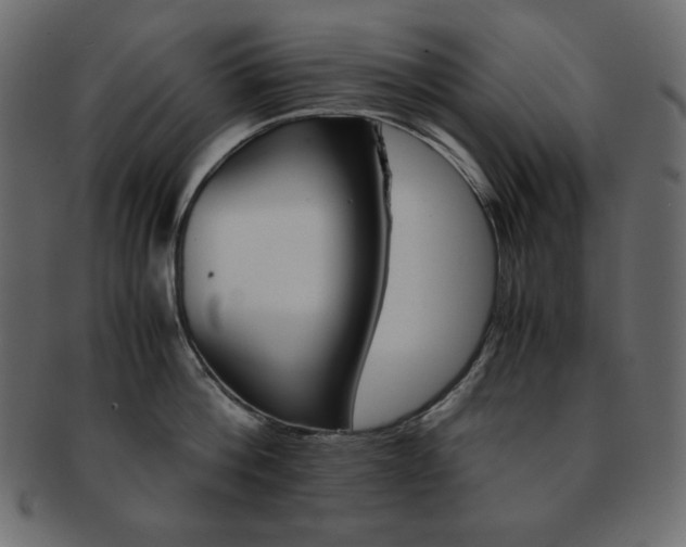 X0000093150812200709261015
