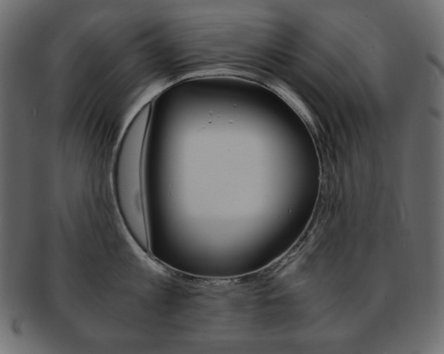 X0000093150813200709261015