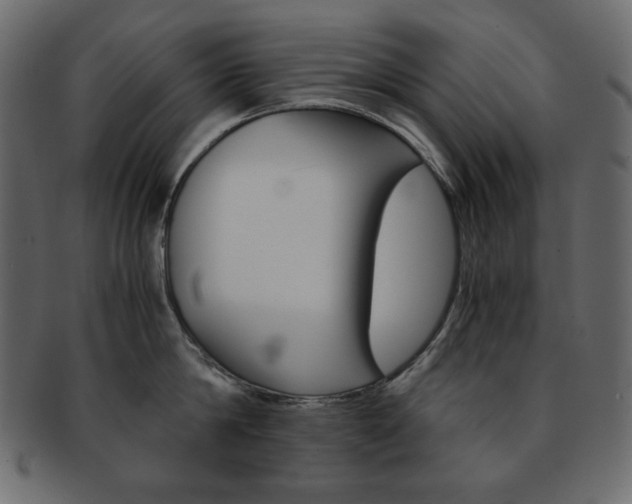X0000093150814200709261015