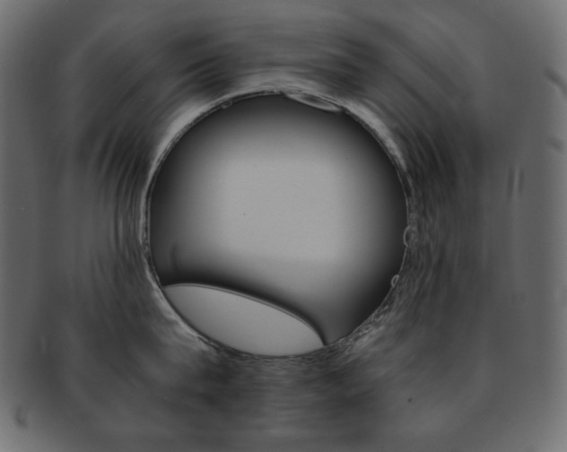 X0000093150815200709261015
