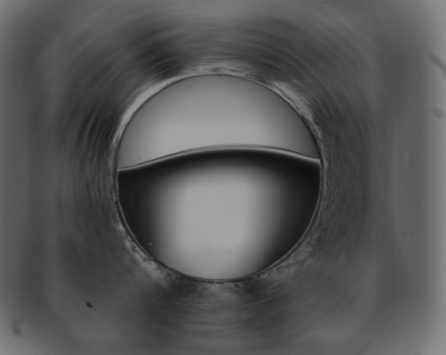 X0000093150816200709261015