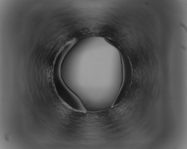 X0000093150818200709261014