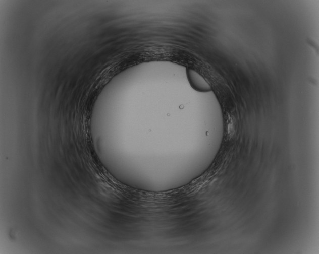 X0000093150819200709261014