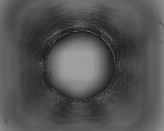 X0000093150821200709261014
