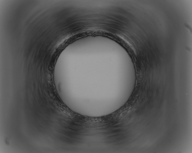 X0000093150823200709261014