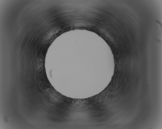 X0000093150824200709261014