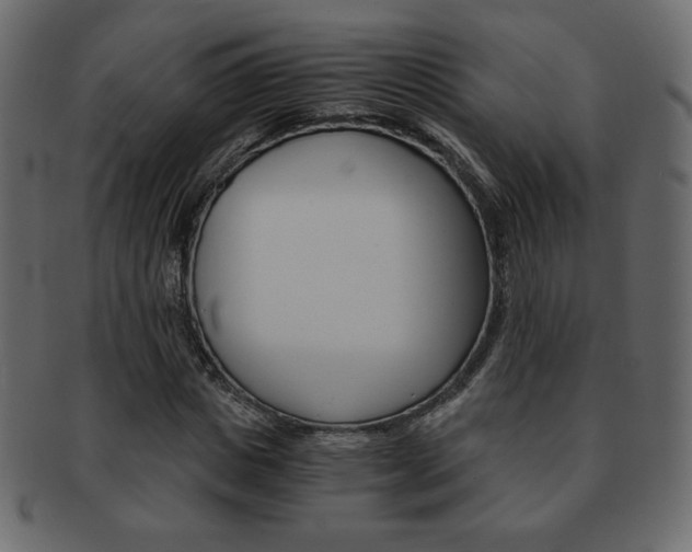 X0000093150825200709261014