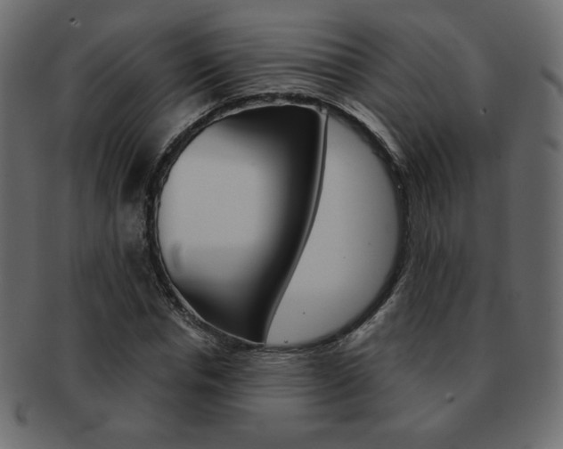 X0000093150826200709261014