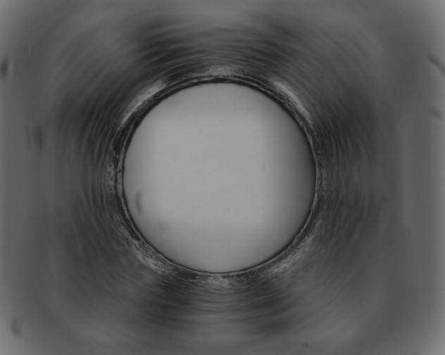X0000093150827200709261014