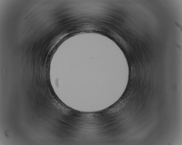 X0000093150828200709261014