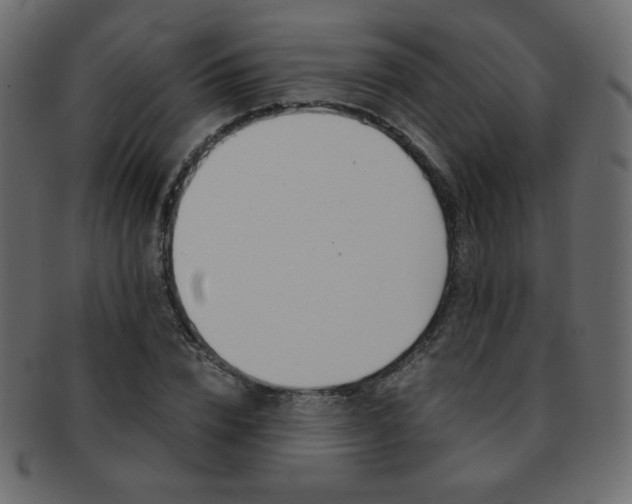 X0000093150832200709261014