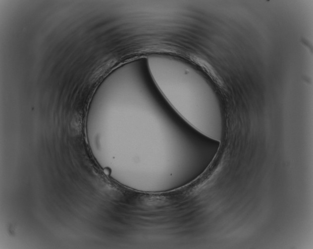 X0000093150833200709261014