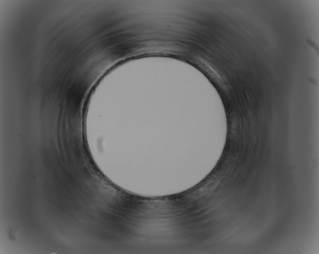 X0000093150836200709261014