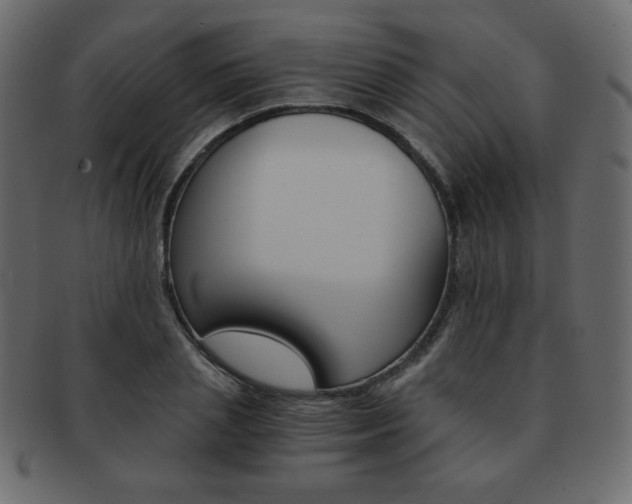 X0000093150837200709261014