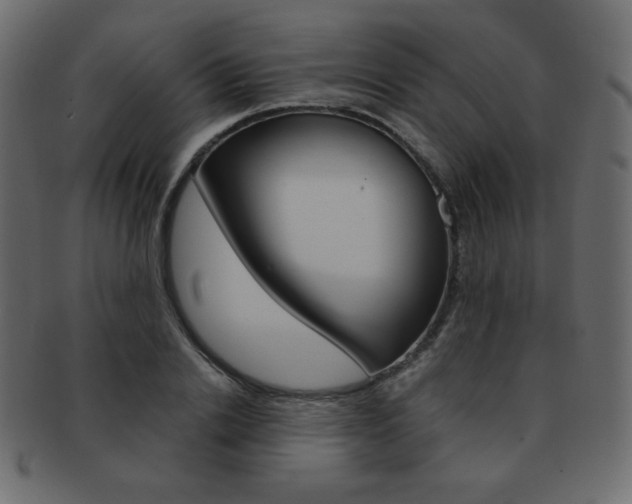 X0000093150838200709261014