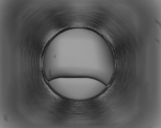 X0000093150839200709261014