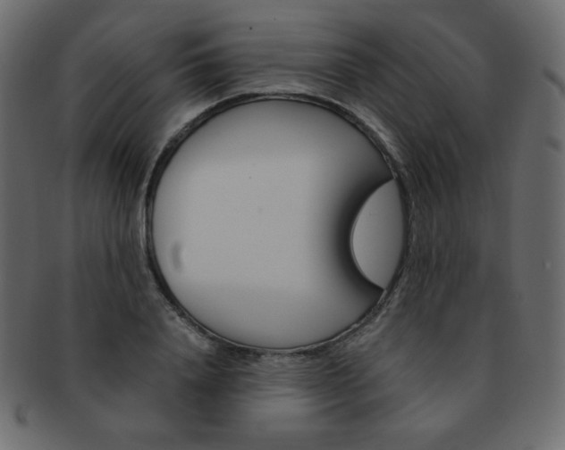 X0000093150840200709261014