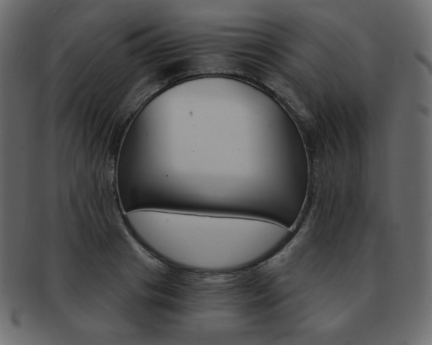 X0000093150841200709261014