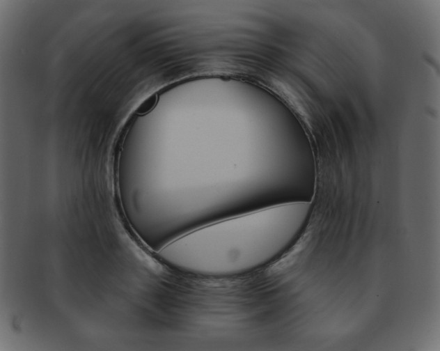 X0000093150843200709261014