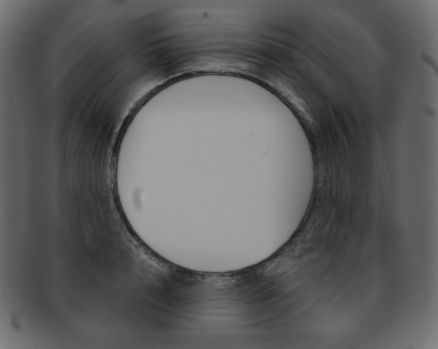 X0000093150848200709261014