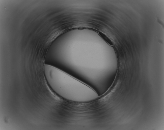 X0000093150849200709261014