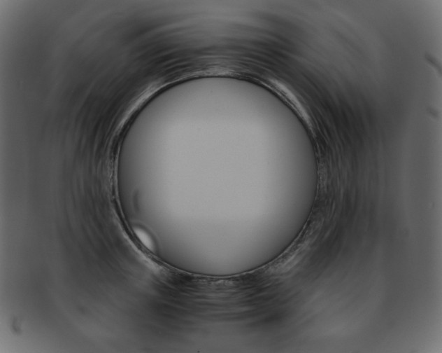 X0000093150851200709261014