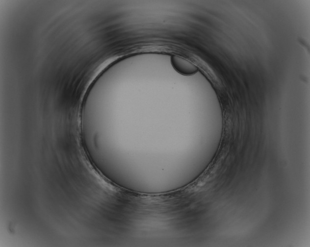 X0000093150852200709261014