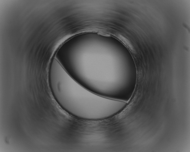 X0000093150854200709261015