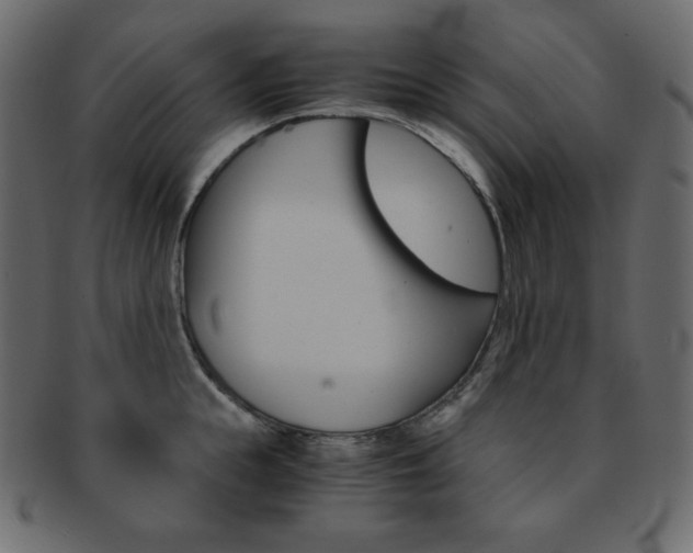 X0000093150855200709261015