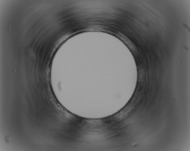 X0000093150856200709261015