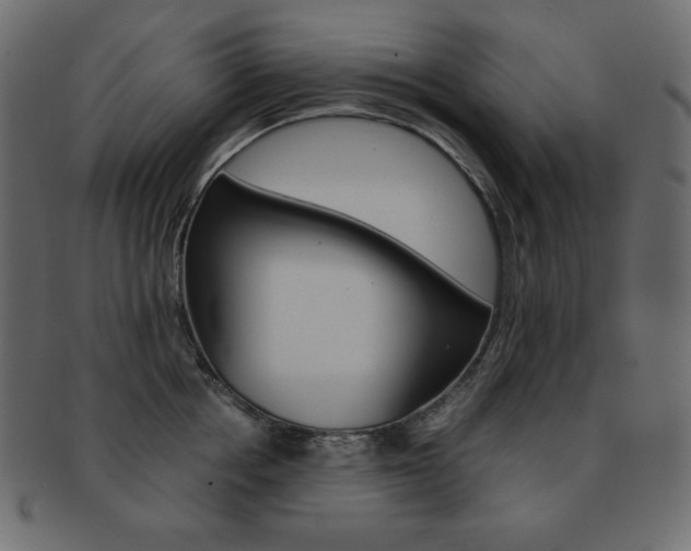 X0000093150858200709261015