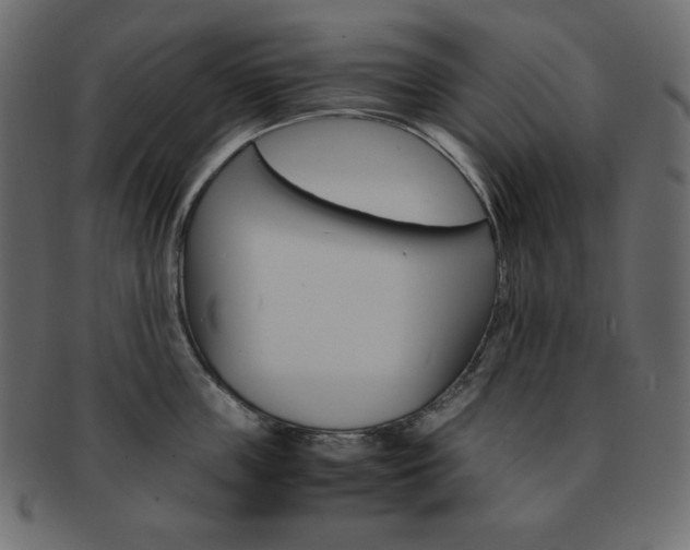 X0000093150859200709261015