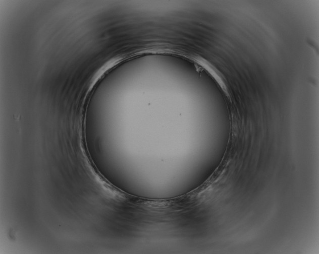X0000093150861200709261015